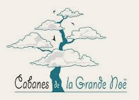 logo_grande_noe