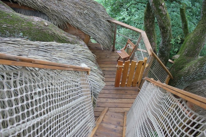 cabane du chene Fou