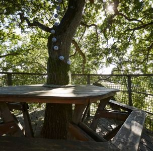 Cabane Chêne fou mage