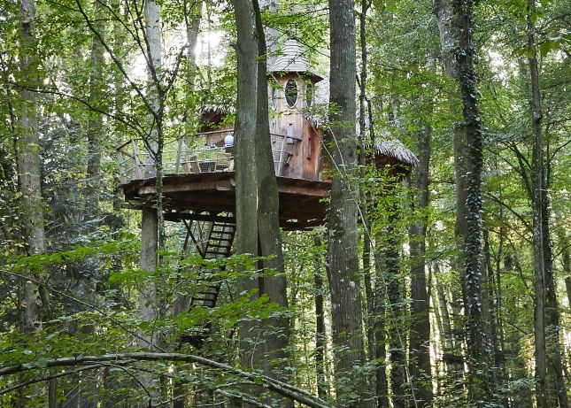 Cabane dans les arbres "L'Echauguette", &agrave; la Grande No&euml; dans le Perche